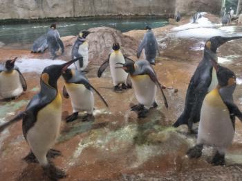 Der erste Zoobesuch mit der 3a und 3b