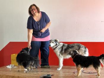 Was macht man (Hund) eigentlich in einer Hundeschule?